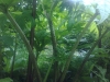 20090619211
