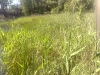 20090627311
