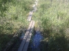 20090627326