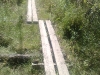 20090627331