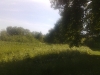 20090628345