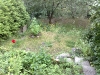 20090730564