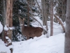 20100120-_mg_3225