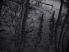 20100120-_mg_3241