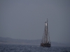 mg_8715