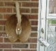 door_bell_button