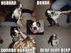 hurr_durr