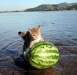 look-i-found-a-big-one