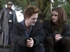 twilight-ending