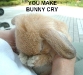 you-make-bunny-cry